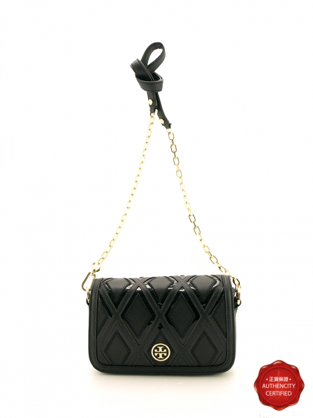 ROBINSON MINI CHAIN BAG